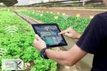 چالش‌های پذیرش فناوری‌های دیجیتال در کشاورزی بررسی شد
