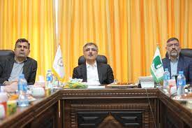فرزین: هدف بانک ملی ایران از واگذاری شرکت ها تامین منافع مردم و تقویت روند بانکداری است